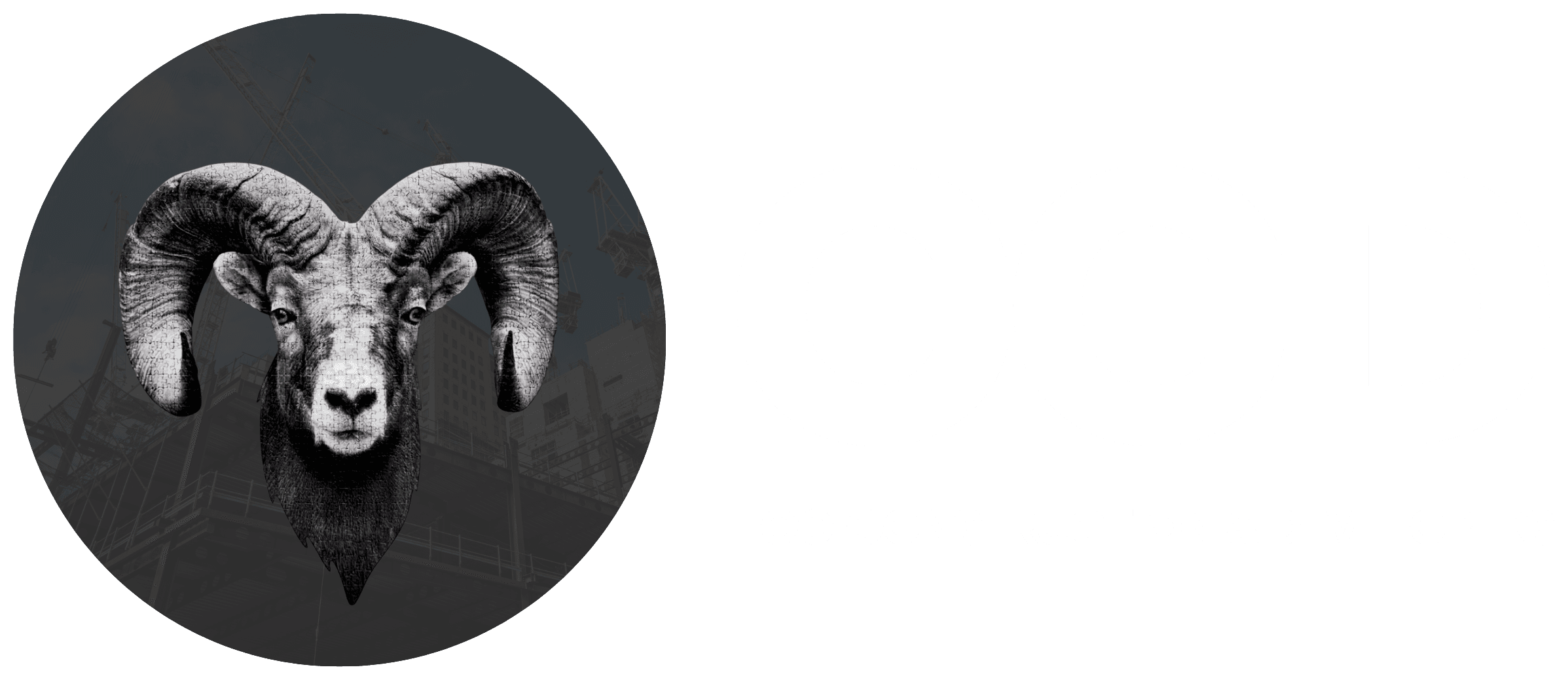 Co Construction and Developers